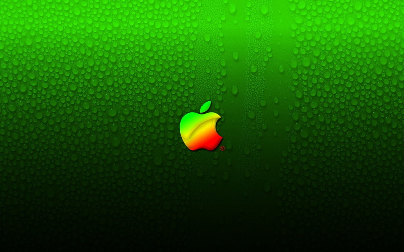 studio shot, water, Computers, 720P, pattern, plant, backgrounds, creativity, textured effect, full frame, green color, green, Apple, copy space, no people