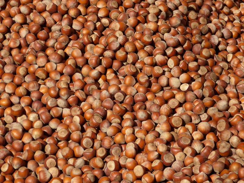 legume family, raw food, tasty, still life, wellbeing, close-up, no people, indoors, market, nuts, lot, full frame, shell, hazelnuts, food and drink, nut