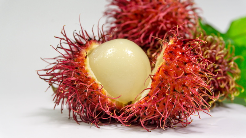 organic, blur, rambutan, purple, ripe, freshness, healthy, indoors, healthy eating, still life, vegetarian food, vegetable, fruit, 5K, no people, raw food