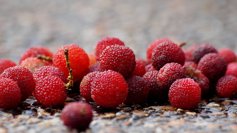 nutrient, healthy eating, vitality, 4K, single, basket, balls, large group of objects, no people, berry, food, selective focus, tender, berry fruit, juice