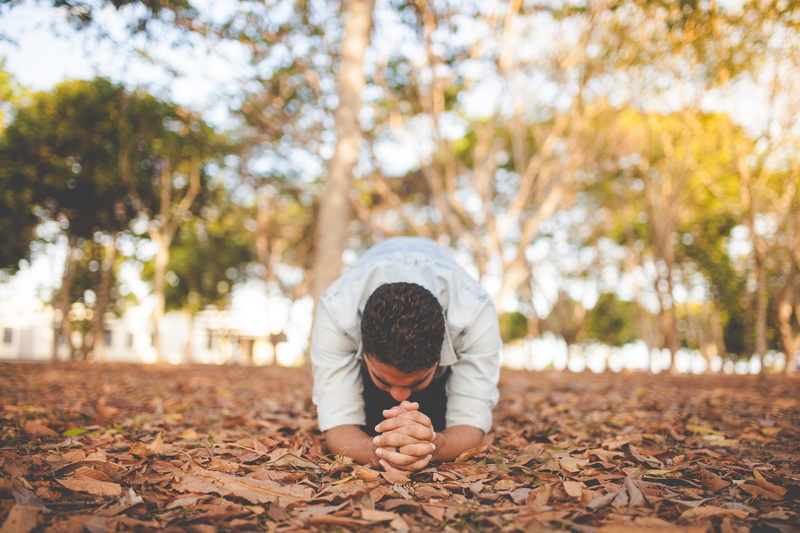 leaves, caucasian Ethnicity, 5K, only men, prying, one man only, young adult, plant, adults only, healthy Lifestyle, front view, casual clothing, praying