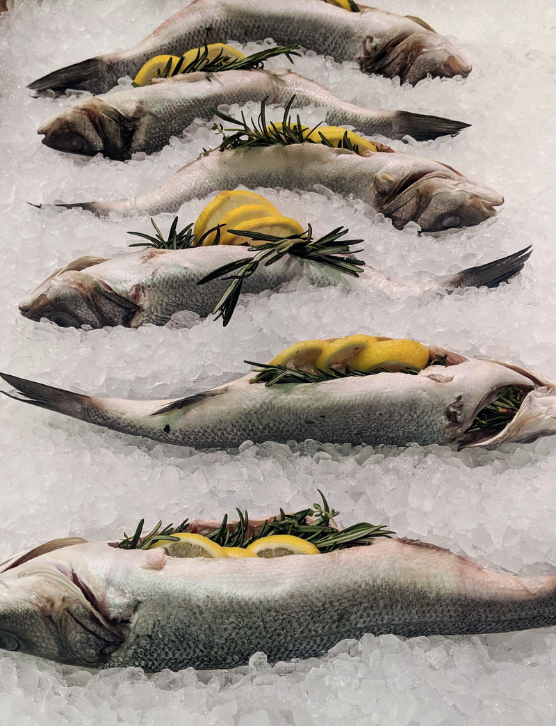 animal themes, seafood, cold temperature, ice, indoors, large group of objects, united states, chicago, variation, group of animals, food, high angle view