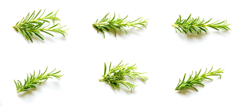 tasty, bowl, kitchen, cannabis plant, freshness, bio, 8K, no people, herb, pool, dish, fresh, diet, natural, white background, vegetarian, nature, organic