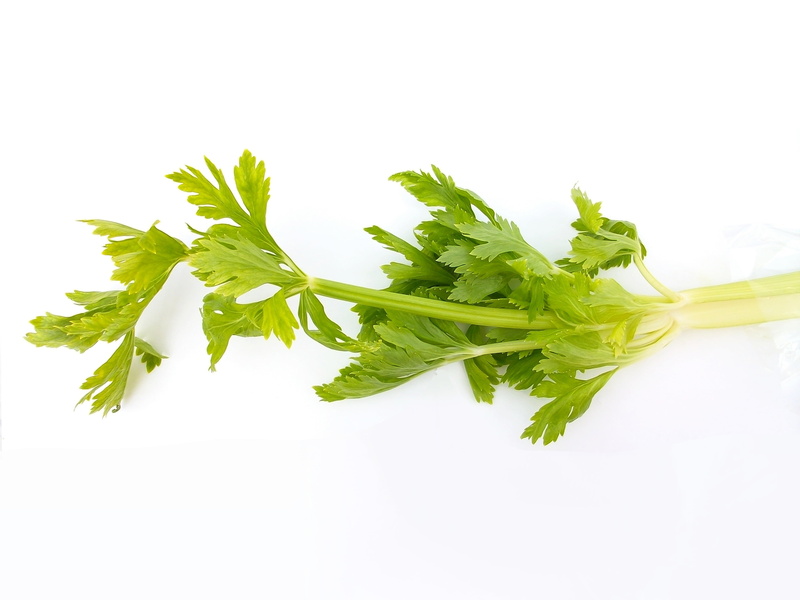 green, bunch, mint leaf - culinary, freshness, close-up, seasoning, nature, green color, herbal medicine, white, wellbeing, food, indoors, vegetables, studio shot