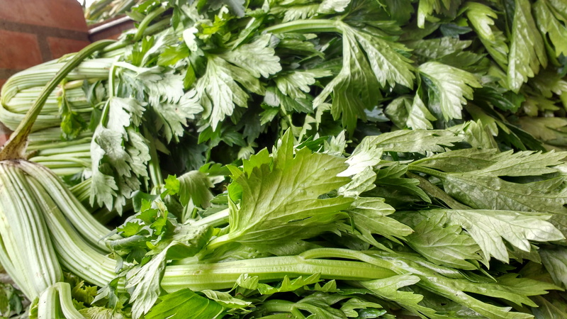 green, celery, plant, branch, wellbeing, food, lettuce, green leaves, food and drink, nature, no people, close-up, vegetable, market, leaves, healthy Eating