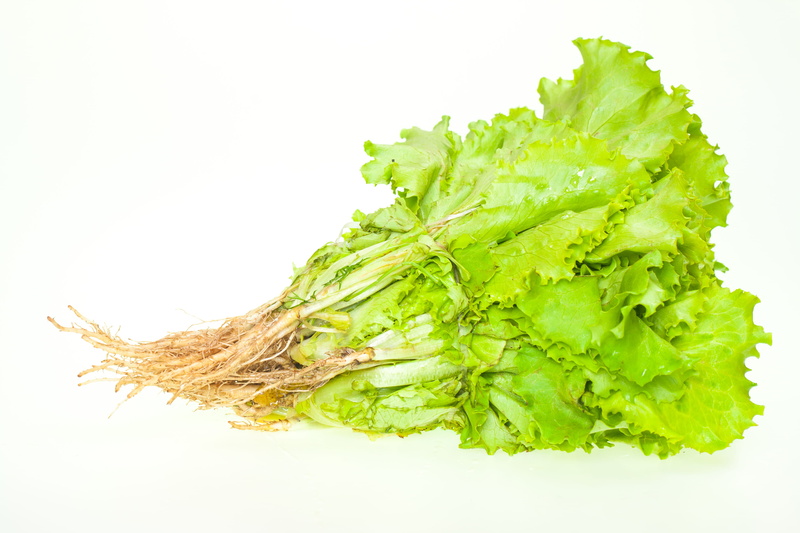 green color, organic, groceries, healthy lifestyle, cut out, dieting, heap, food, vegetable, vegetarian food, wellbeing, raw food, snack, fresh, indoors