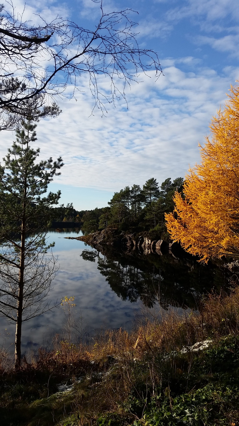 lake, nature, outdoors, scenics - nature, clouds, tree, plant, the nature of the, non-urban scene, sky, change, no people, beauty in nature, 2K, cloud - sky