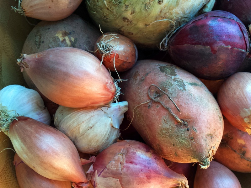 common beet, cooking, healthy eating, day, no people, food, market, for sale, backgrounds, retail, nutrition, onion, taste, vegetarian, ingredient, wellbeing