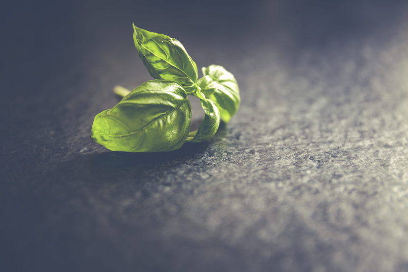 plant part, herbs, green Color, close-up, still life, food and drink, nature, basil, close up, herb, antioxidant, 5K, vegetable, leaf, selective focus