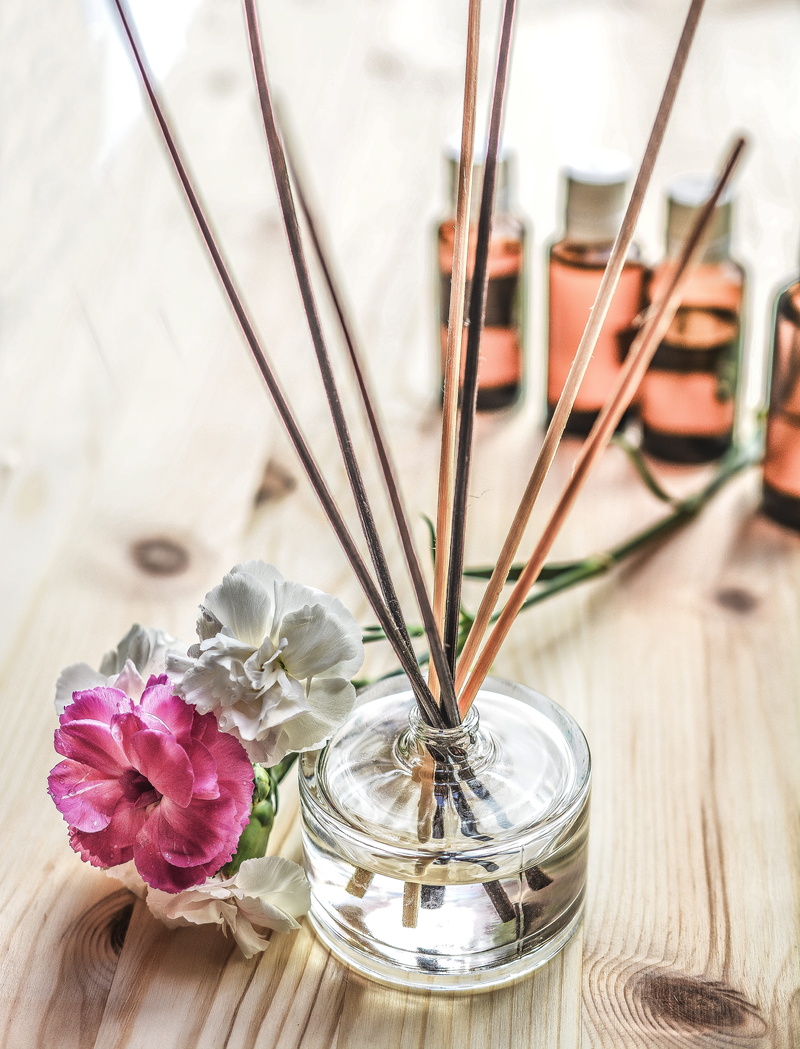 wood - material, organic, glass, alternative, therapy, medicinal, 5K, herb, clear, decorative, bottle, medicine, scent, vase, flowering plant, wellness