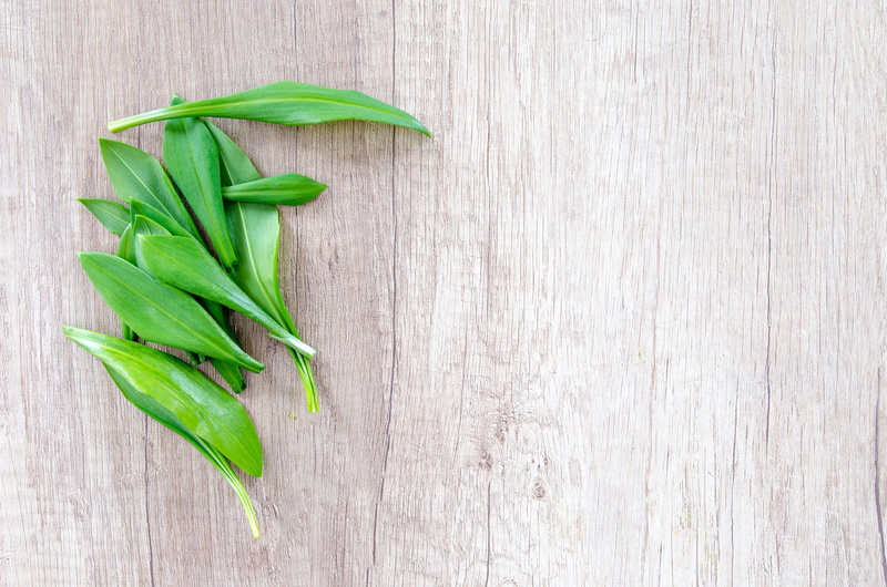 green color, no people, background, eating, herb, leaves, aromatic, freshness, still life, ramson, green, kitchen, bear, ingredient, rope, table, nature