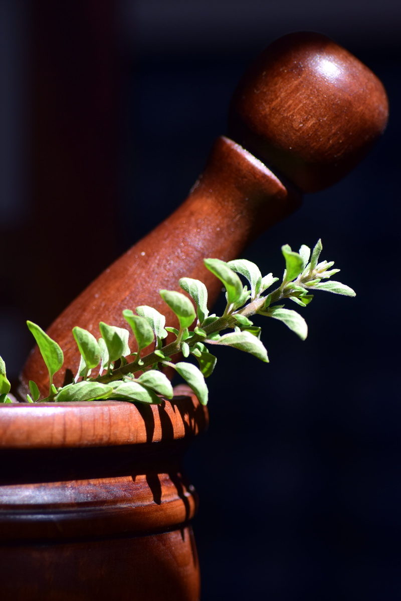 zermörsern, green color, establish, still life, cook, ingredient, black background, brown, nature, prepare, mortar, marjoram, pestle, green, healthy eating