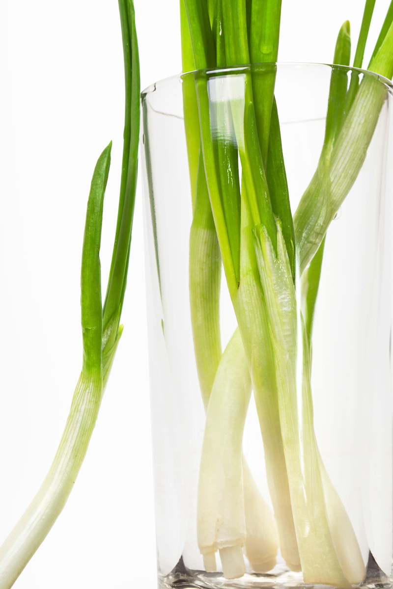 diet, cook, studio shot, freshness, flora, white background, spring, vegetarian, groceries, ingredient, plant, group, edible, gourmet, spices, leaf, plant stem