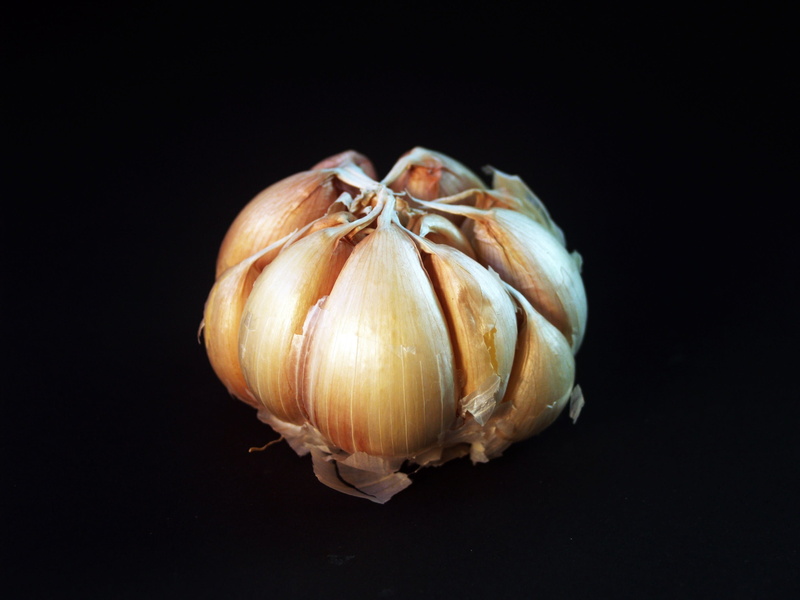 Clove, studio shot, nobody, small group of objects, indoors, flavor, no people, garlic bulb, organic, single object, black Background, three, nutrition