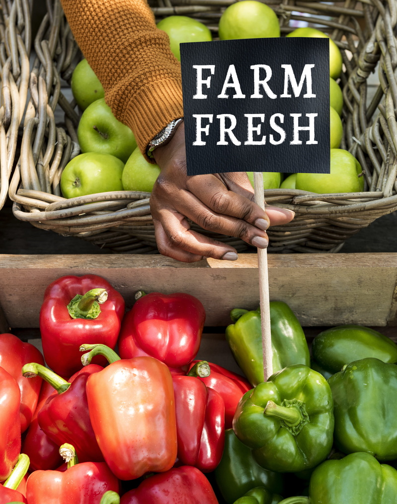 marketing, bell, bell peppers, fresh, variety, organic, container, farmers market, business, nature, small business, produce, vegetables, natural, wellbeing