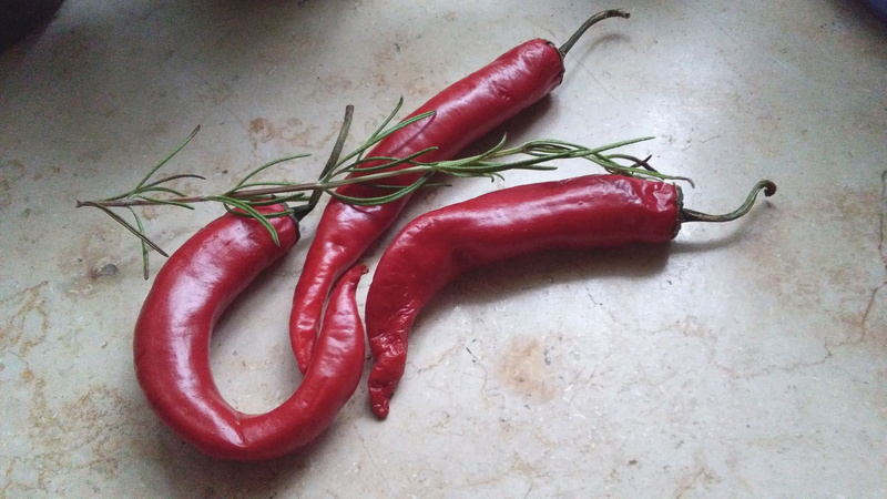 tasty, vegetable, rosemary, chili pepper, red chili pepper, freshness, healthy eating, cooking, 2K, food and drink, marble, aroma, still life, sharp, capsicum