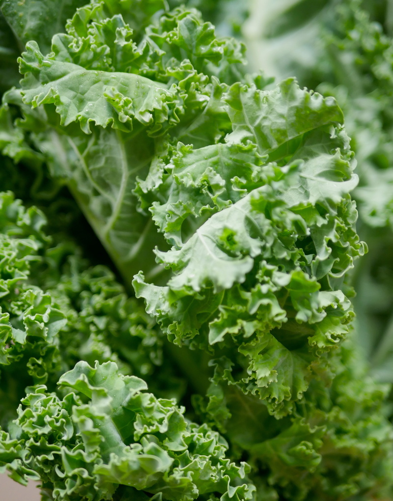 food and drink, close-up, 4K, organic, selective focus, ingredient, nutrition, rustic, cooking, diet, flora, food, healthy, plant part, green color, day