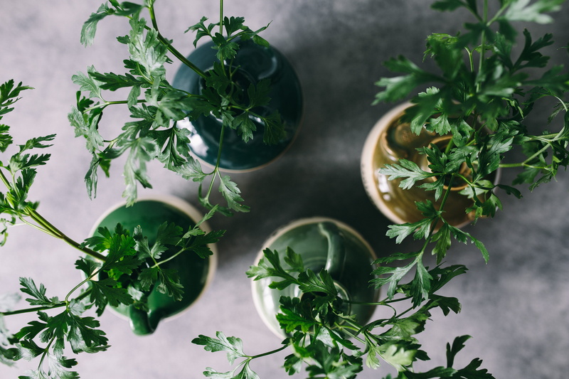 organic, close-up, parslel, cucumbers, day, no people, nature, food, peas, herb, vegetable, growth, indoors, healthy eating, 5K, directly above, green