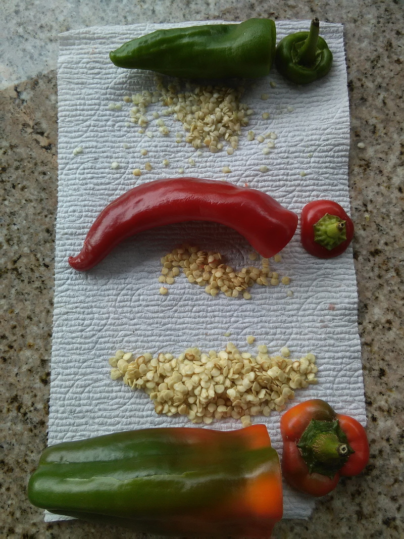 healthy Eating, farmer, raw Food, paprika, ingredient, non gmo, red, still life, cooking, culinary, food And Drink, Hot, wellbeing, close-up, 2K, table