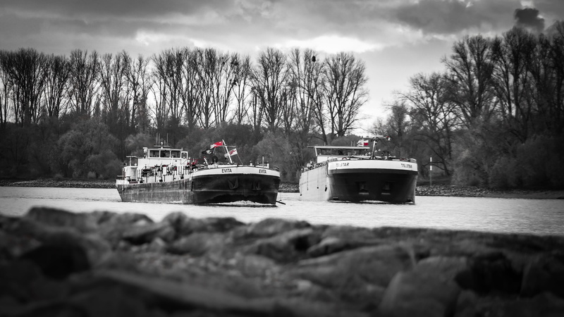 plant, tree, mode of transportation, rhine cruises, 4K, freighter, day, barge, transport ship, land, autotransport, outdoors, no people, selective focus