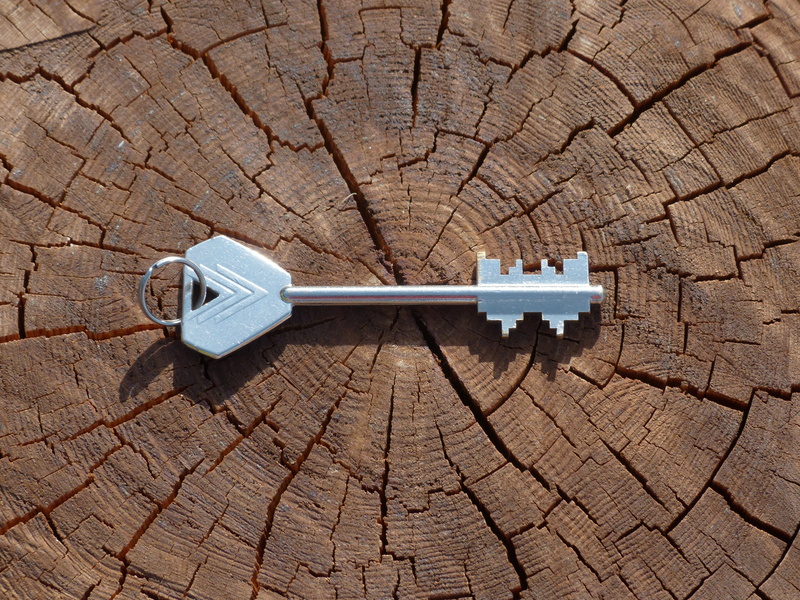 bart, key, individually, unlock, castle, door key, connection, make up, safe key, directly above, silver, nature, secret, wood - material, tool, close to
