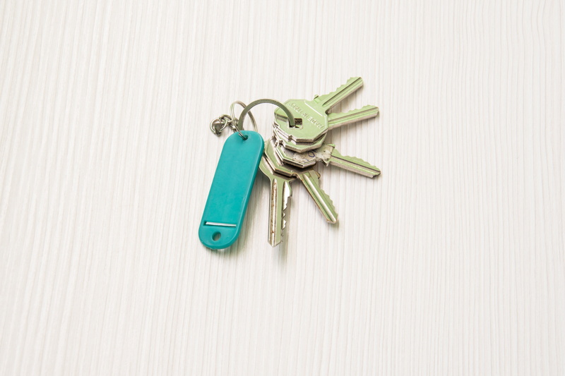 door keys, studio shot, cut out, unlock, key ring, security, day, close-up, group of objects, large group of objects, real, secure, key, home, high angle view