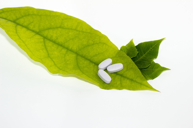drug, fragility, indoors, healthcare, white background, single object, cut out, leaf, pharmaceutical, white color, medication, green color, treatment, herbal