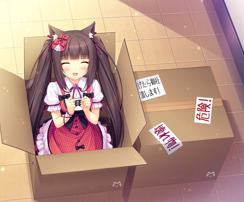 translation, ears, request, animal, 720P, nekopara, game, (sayori), chocola, sayori