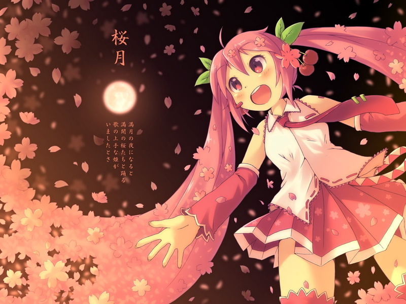 vocaloid, akisorapx, translation, hatsune, request, sakura, miku, 720P