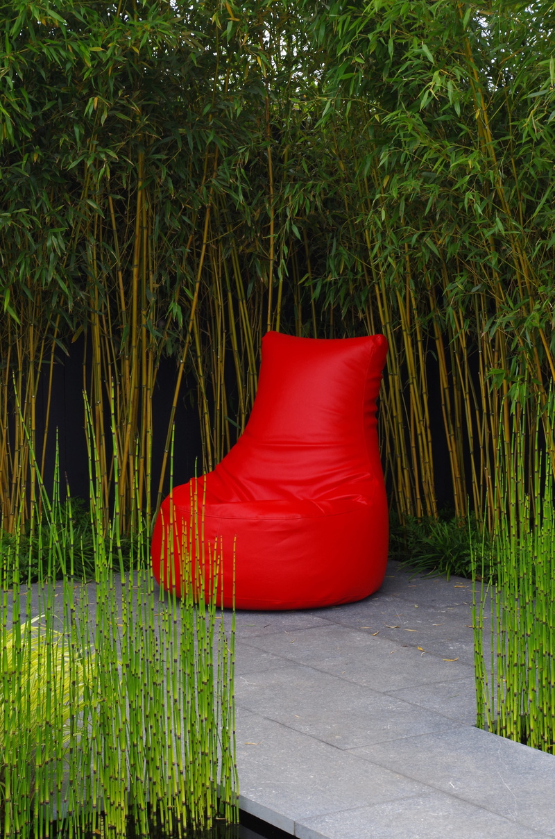 joy, plant, green, land, bag, red, chair, nature, sit, empty, outdoors, natural, tranquility, no people, relaxation, one, vacation, looking, tree, happy