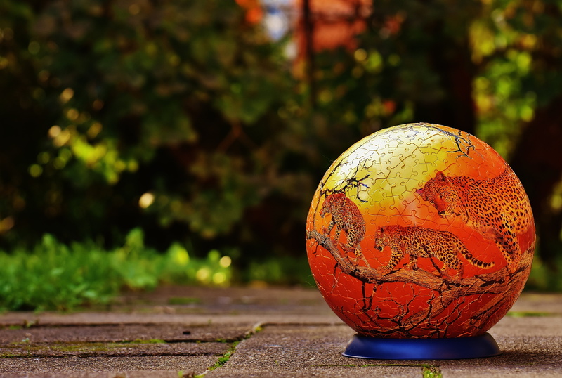 wild animals, stand, tricky, green color, planet earth, footpath, sunlight, single object, art and craft, puzzle piece, nature, focus on foreground, globe - man made object