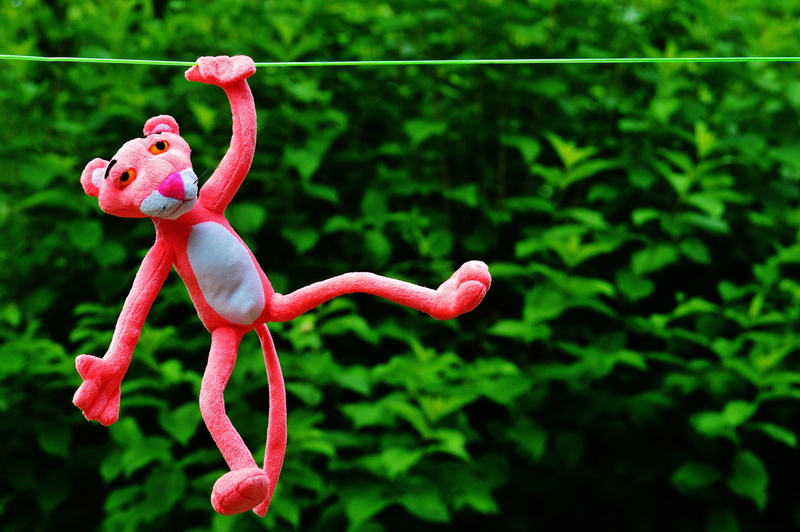 day, fun, 5K, flamingo, creativity, outdoors, animal themes, plant, tree, stuffed animal, animal representation, animal wildlife, hang out, figure, the pink panther