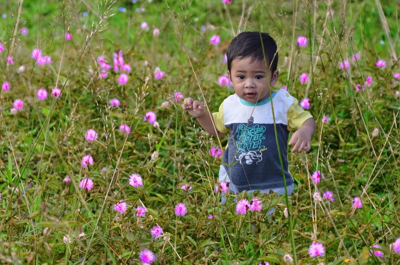 child, purple, leisure activity, happy, freshness, growth, youth, plant, beauty in nature, play, real people, fun, flower, vulnerability, front view, outdoors