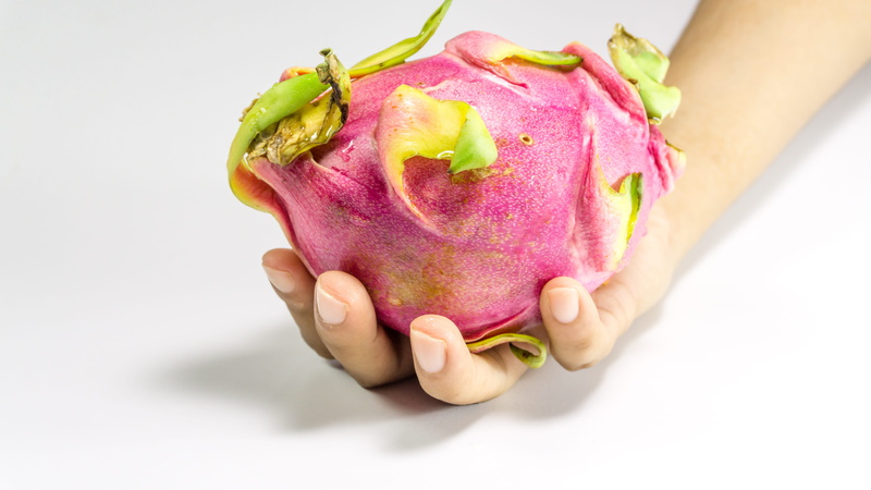 hands, Fruit, life, healthy lifestyle, exotic, cut, 5K, White, adult, unique, close-up, green, dragonfruit, healthy, fresh, freshness, holding, thailand
