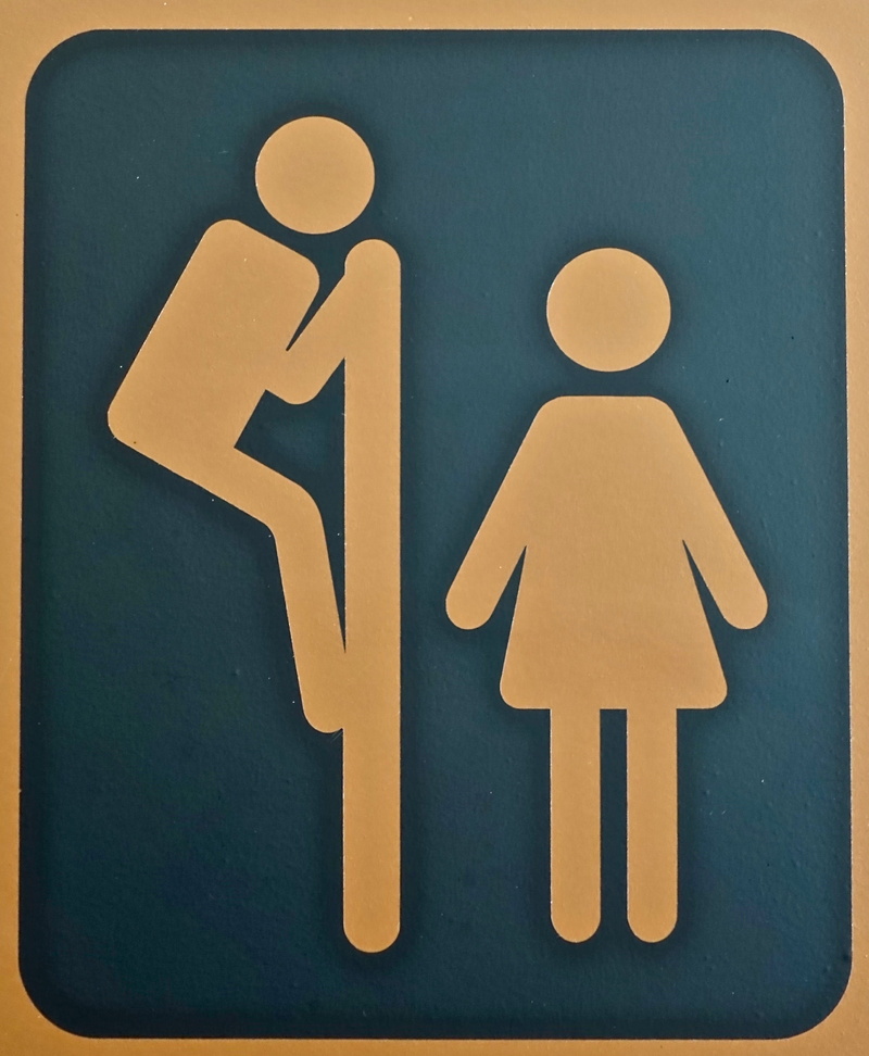 yellow, indoors, transportation, transfer print, close-up, medical equipment, woman, information sign, toilet, differing abilities, disabled sign, wheelchair