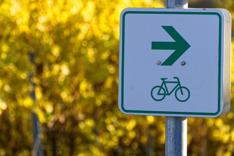 arrow symbol, directory, directional sign, medical equipment, street sign, disabled sign, differing abilities, note, focus on foreground, communication