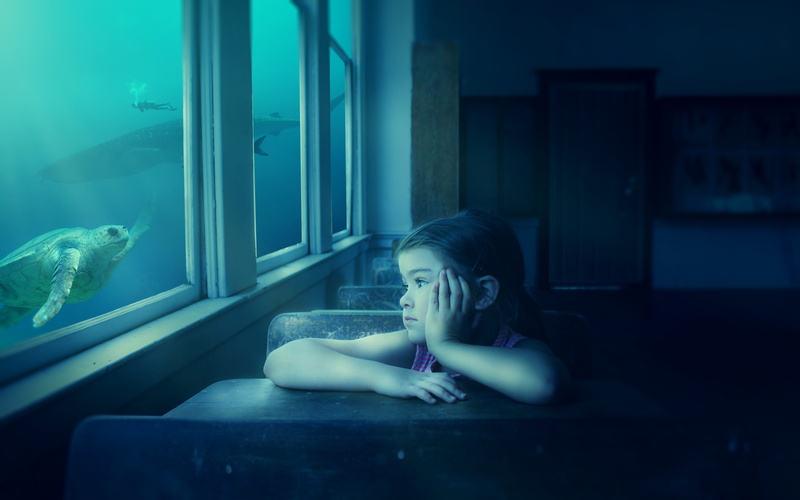 glass - material, child, indoors, watching, turtle, 8K, water, portrait, looking, leisure activity, boredom, mystical, one animal, one person, dreams