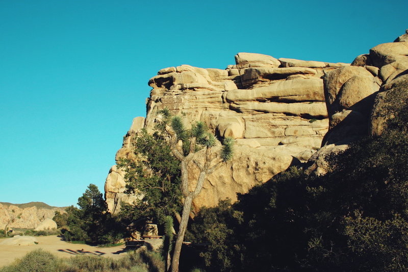 mesa, sun, desert, tree, formation, beauty in nature, day, 2K, scenics - nature, plant, scenery, no people, stare, blue, solid, california, dawn, peaceful