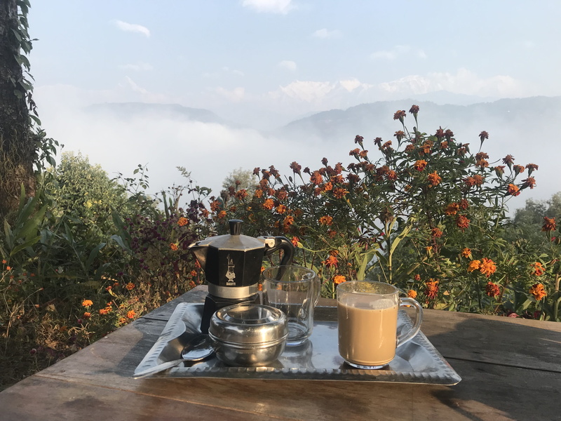 ponder, garden, growth, produce, 4K, table, silver colored, blossom, coffee, relax, beer, sky, wood, breakfast, beverage, cloud - sky, outdoors, nature