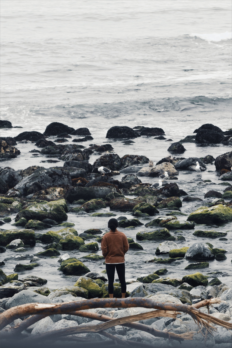 travel, one person, plant, ocean, sea, nature, standing, pacific, human, motion, california, leisure activity, cali, 5K, person, thought, ponder, adventure