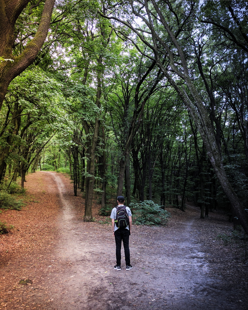 standing, the way forward, full length, adventure, direction, nature, land, rear view, alternative, kiev, path, ukraine, one person, walking, choice, gravel