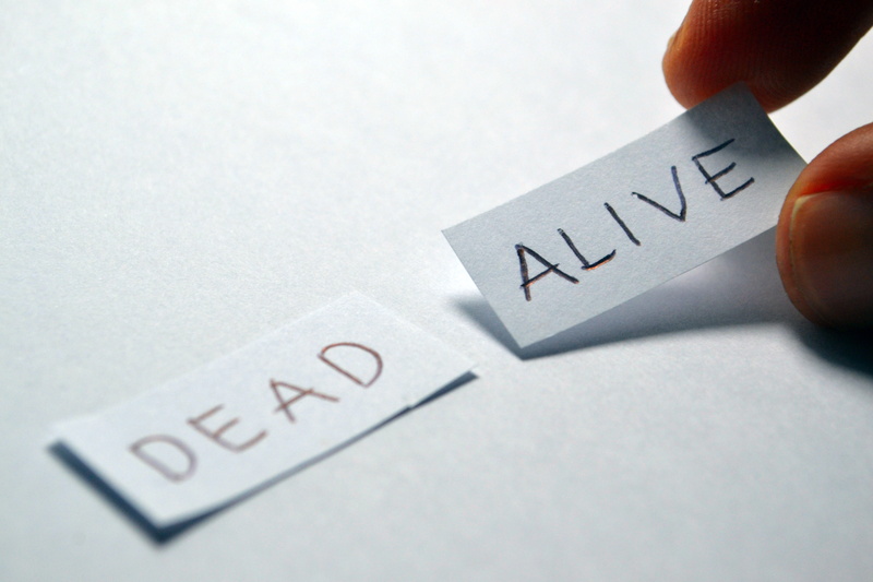 decision, sign, finger, choose, hand, writing, human hand, paper, alive, dead, communication, positive, people, opposite, copy space, decide, close-up
