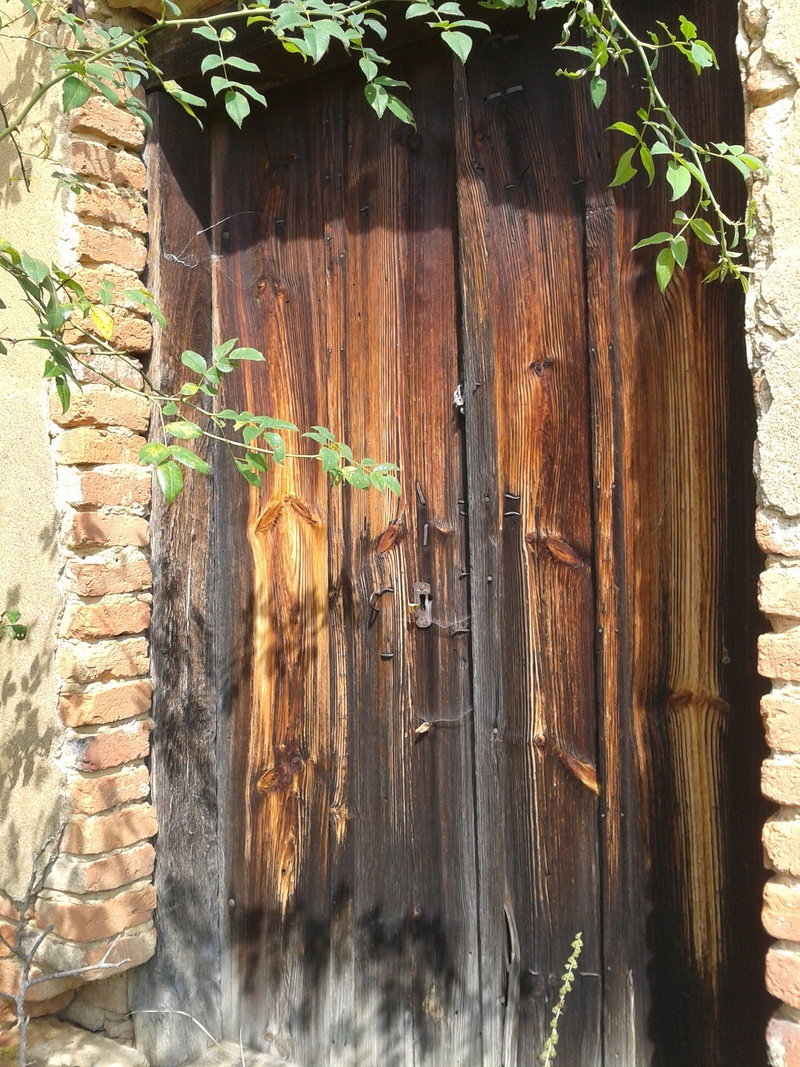 wood - material, closed, plant, no people, growth, building, brown, architecture, wall, house, built structure, nature, outdoors, option, entrance, 2K