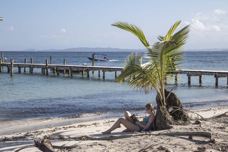 read, cloudy, palm tree, nature, holiday, relaxation, plant, woman, sea, reading, coastline, tourism, beauty in nature, water, landscape, shore, leisure activity