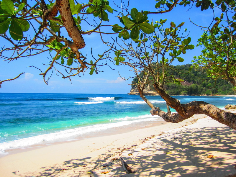 summer beach, tropical, relaxation, resort, horizon over water, wave, outdoors, season, no people, exotic, nature, ocean, coast, relax, hot, sky, plant