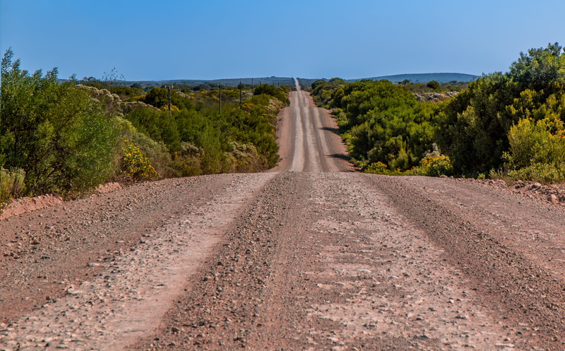 travel, journey, scenery, landscape, drive, transport, beauty in nature, trip, destination, plant, outdoor, scenic, non-urban scene, road, day, dirt, outdoors