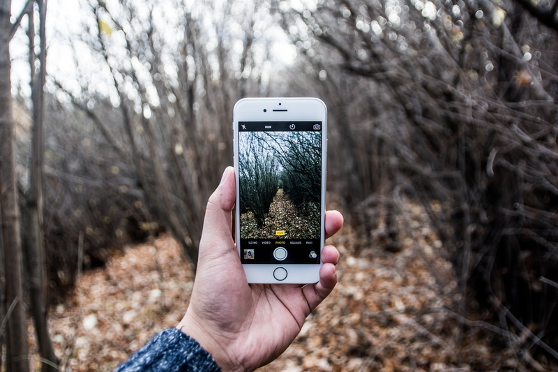 daytime, wireless technology, holding, mobile phone, 2K, photography, communication, cell phone, camera, smart phone, photographer, mobile, leaves, connection