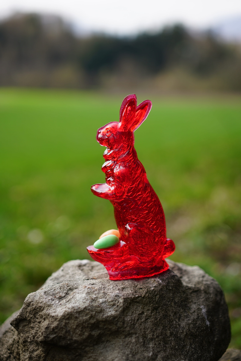 mammal, red, livestock, rock, grass, male animal, sugar bunny, close-up, easter bunny, 8K, sweet as sugar, food, field, rooster, sugar pastries, nature