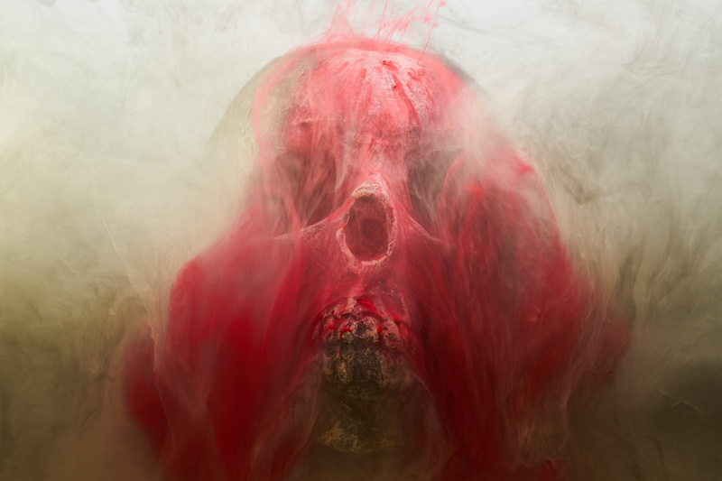 paint, front view, halloween, indoors, anatomy, dead, imagine, water, ink, portrait, death, animal body part, bones, dream, shower, selective focus, nature