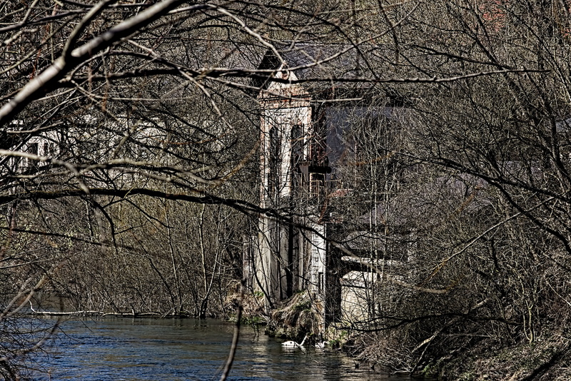 5K, branch, mood, tranquil scene, water, land, plant, no people, day, forest, nature, damaged, grim, sky, tree, decomposition, lake, building, tranquility